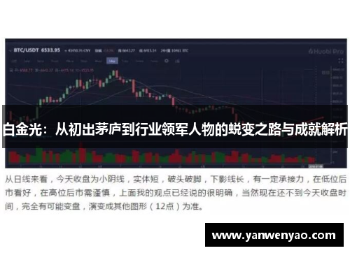 白金光：从初出茅庐到行业领军人物的蜕变之路与成就解析